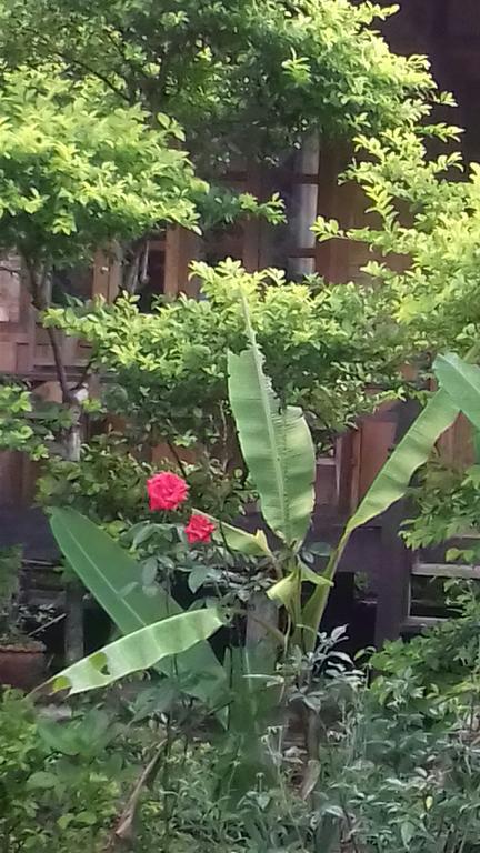 Ning Ning Guesthouse Muang Ngoi Экстерьер фото